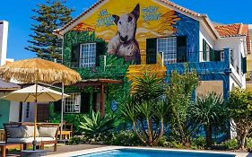 Mr Ziggy'S Surfhouse